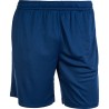 FZ Forza Landers M Short - Estate Blue