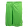 FZ Forza Landers Short - Green Gecko